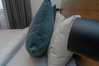 PillowPetal at Loxwood - Accra - 1
