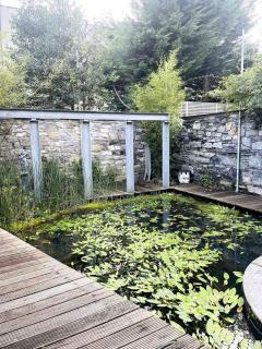 Dublin Charm on Baggot Lane - Dublin - 2