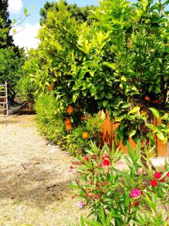 Appartamento Lipari - Patti - 6