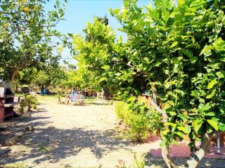 Appartamento Lipari - Patti - 1