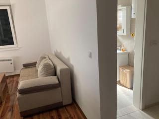 Apartman Vrnjačka Banja - Vrnjci - 8