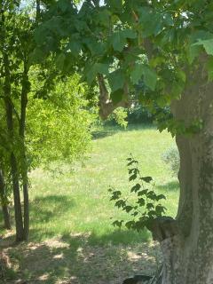 Studio du Mas du Jas - Bédarrides - 1
