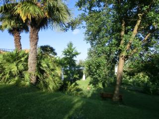 B&B Lieti Colli - 1