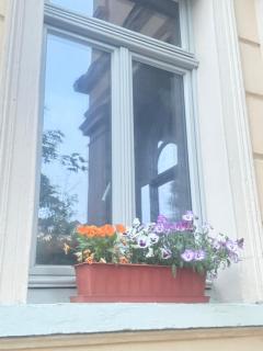 Ferienzimmer Healing und Montuerwohnung - 6