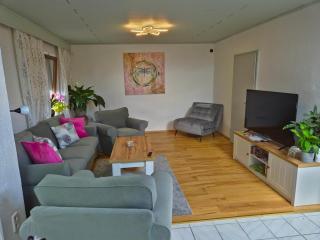Green Home - Furth im Wald - 8