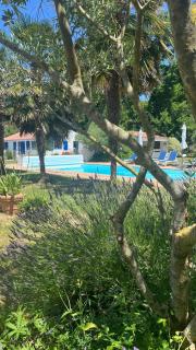 Gîtes de charme "l'écrin de Vendée" jacuzzi privatif, piscine chauffée, prestations bien être, vélos à 10 mn de l'océan sur 3,5 h de verdure - Sallertaine - 6