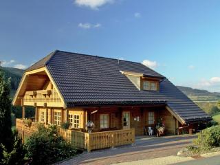 Ferienwohnungen Fausts Blockhaus - Schmallenberg - 9
