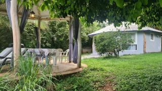Casita Azul - 2