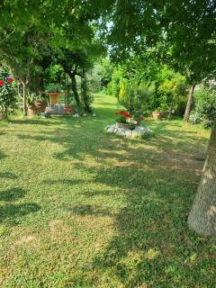 Il nido di Irene e Sofia - 5