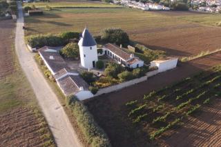 Le Moulin de la Boire, exceptionnel pour 12 personnes - Ars-en-Ré - 0