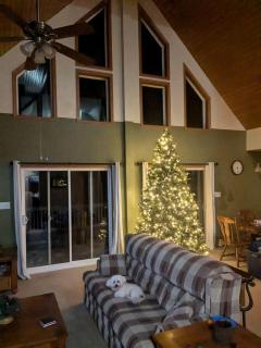 Breathtaking Cabin Nestled Amidst Trees in Webb, New York - - 9