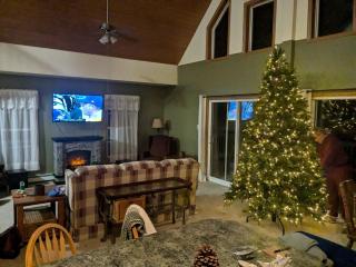 Breathtaking Cabin Nestled Amidst Trees in Webb, New York - - 8