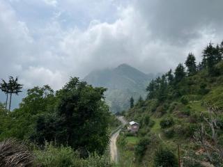 Ganga Valley Homestay - 4