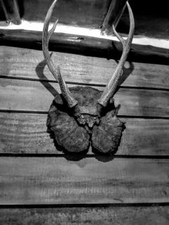 The Paulwood cabana home stay - 1