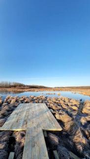 Pure Glamping Wooden Cabin with Fire Pit in Washburn, Wisconsin - - 9