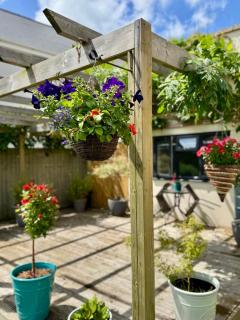 The Garden Room - Torquay - 4