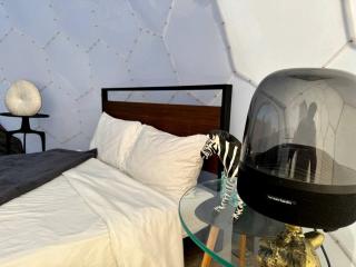Unique and Pet Friendly Glamping Dome with Views of Big Bend National Park, Perfect for a Texas Glamping Getaway - 9