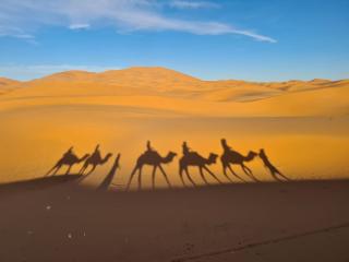 nomad luxury camp - Merzouga - 0