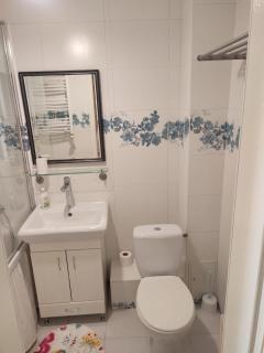 Cozy Chișinău City Centre 1-Bedroom Apartment - Chişinău - 4
