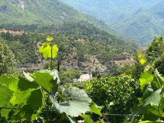Guesthouse the peaceful of Koman - - 3
