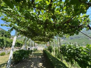 Guesthouse the peaceful of Koman - - 1