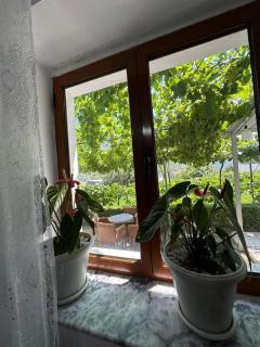 Guesthouse the peaceful of Koman - - 2