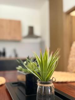 Apartmán u Andy - Vlašky - 7