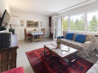 Apartment Allod Park Haus C 501 by Interhome - Davos - 3