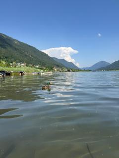 Villa Christine am Weißensee - Weissensee - 4