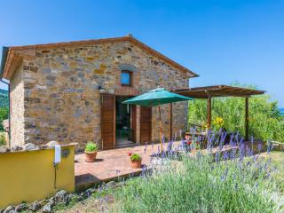 Apartment Fienile by Interhome - Sasso Pisano - 0