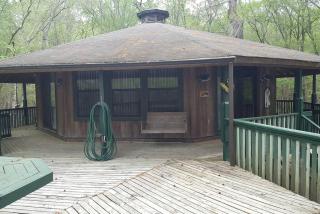 Georgia's Family-Friendly Octagon Cabin Getaway in Claxton - Claxton - 8