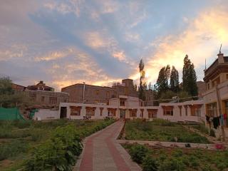 The Kurja Garden - 8