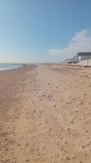 toto retreat by the sea - - 3