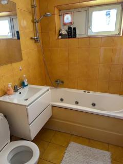 Silviu House - Viişoara - 0