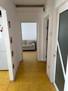Silviu House - Viişoara - 7