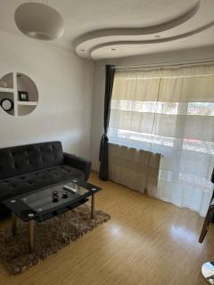 Silviu House - Viişoara - 2