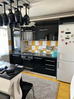 Silviu House - Viişoara - 1