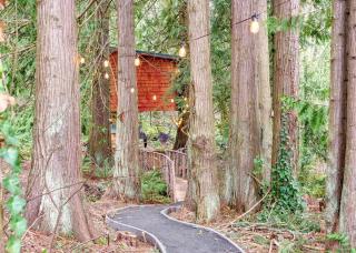 Relaxing Tree House in Sequim, Washington, Perfect for a Glamping Getaway to Olympic National Park - 0