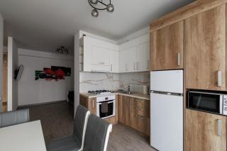 1BD Apartment - Downtown - Chişinău - 7