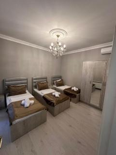 Ponarama Villa Famliy Gabala - 2