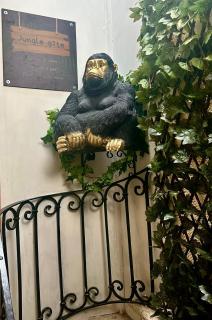 Jungle Gite - Fumel - 9