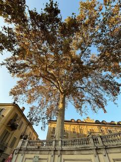 Attico del Duomo Historic Center & Free Wi-Fi - 1