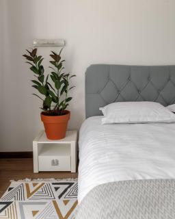 Sunny heaven - 1BD apartment - Chişinău - 4