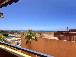 Flor de Morro - Morro del Jable - 6