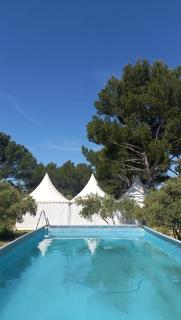 L' Aglandau Au coeur des oliviers en Provence - Pélissanne - 1
