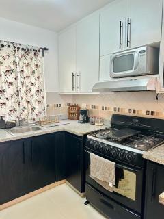 Modern, Elegant & Comfortable Apartment - El Seis - 1