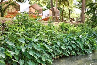 Friendship by the Water: Texas Tented Cabin Oasis for a Lakeside Getaway - Marion - 9
