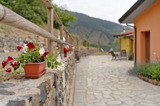 Agriturismo Le Macere - Sasseta - 5
