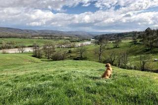 Charming Retreat: Pet-Friendly Classic Rental for Outdoor Activities in Pulaski County, VA - 2