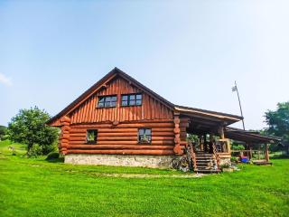 Chalet Srub Pohodář by Interhome - Benešov nad Černou - 4